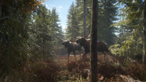 猎人:荒野的召唤 the Hunter Call of the Wild 免安装v2777186绿色中文版-绿色游戏网