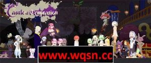 【像素ACT/全动态】诱惑城堡~Castle of Temptation V1.12 官方中文版【更新/1.5G】游戏中文版下载|无需安装解压即玩-绿色游戏网