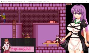 [2024年7月新作/恶魔城ACT/动态CG]Hijiri in the Succubus Castle 官方中文硬盘版[400M游戏中文版下载|无需安装解压即玩-绿色游戏网